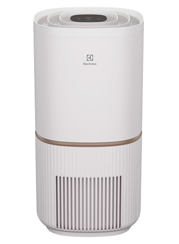 carbon-filter-activated-air-purifier.jpg