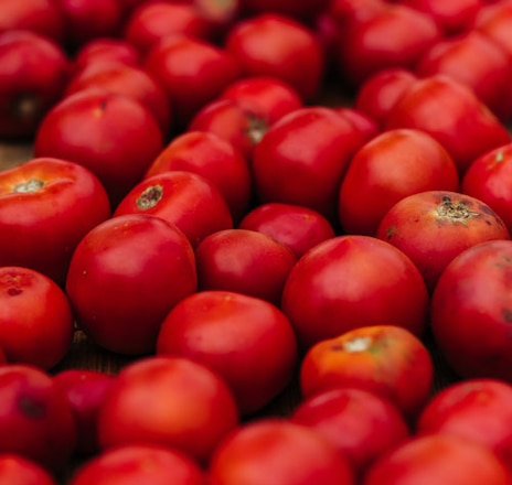 Tomato passata