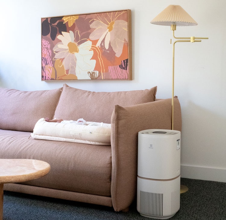 Living room with Electrolux air purifier next to a sofa.