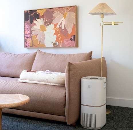 Living room with Electrolux air purifier next to a sofa.